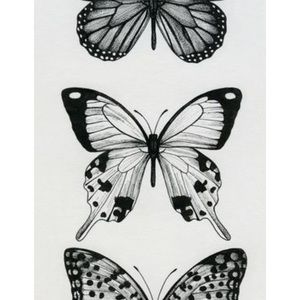 Meet your Posher, Lacy